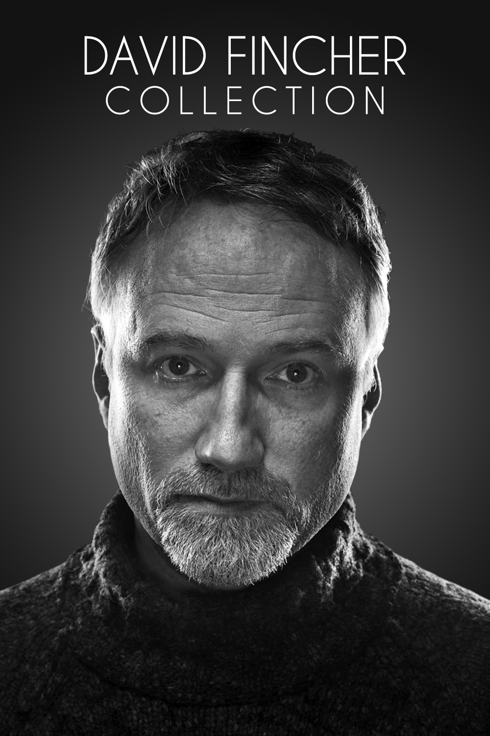 David Fincher Collection [278678] (A1700149450) (Movies) --Plex--